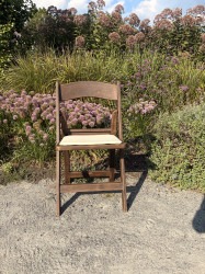 IMG 0401 1779768643 Garden Folding chair - Chestnut